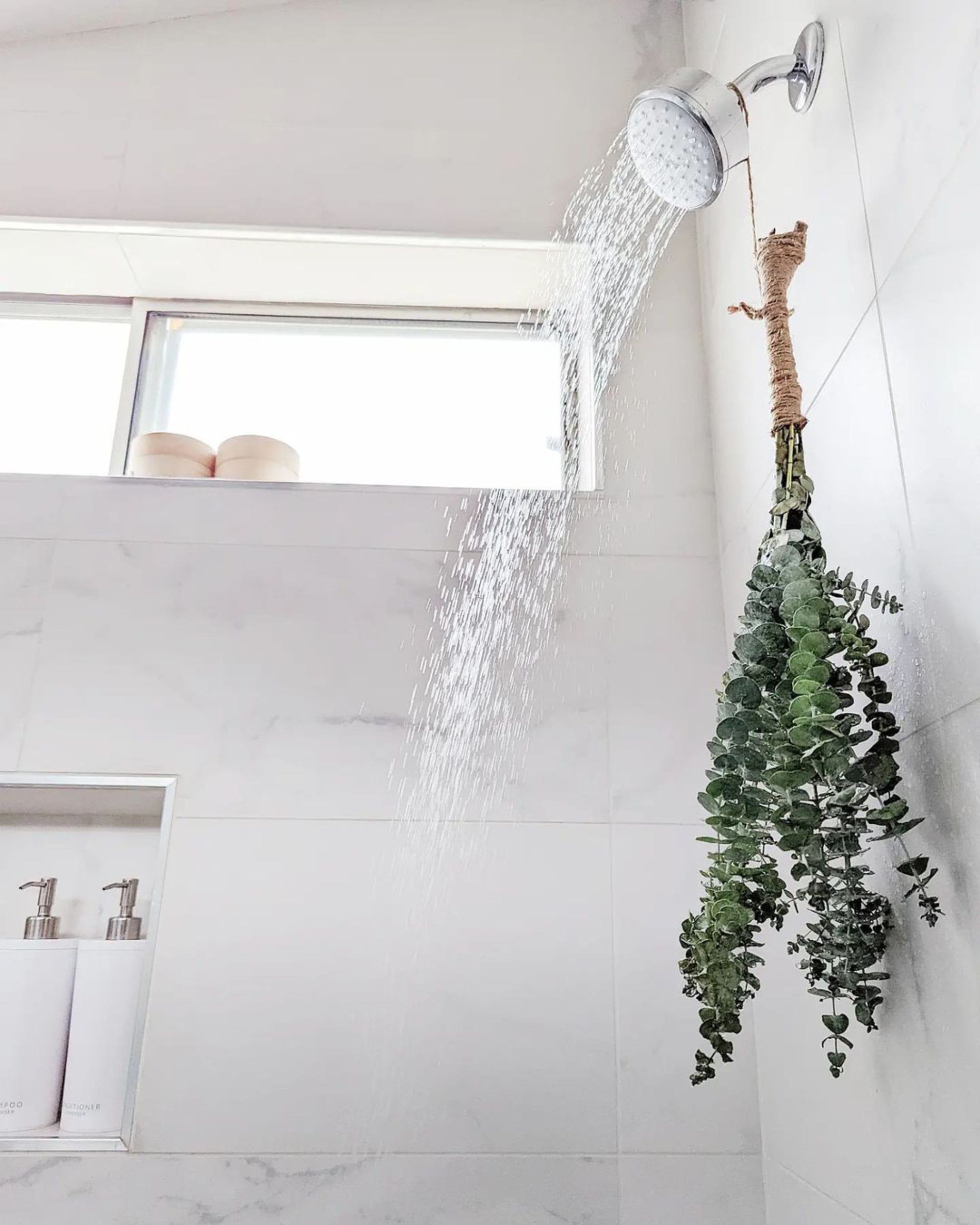 grohe shower